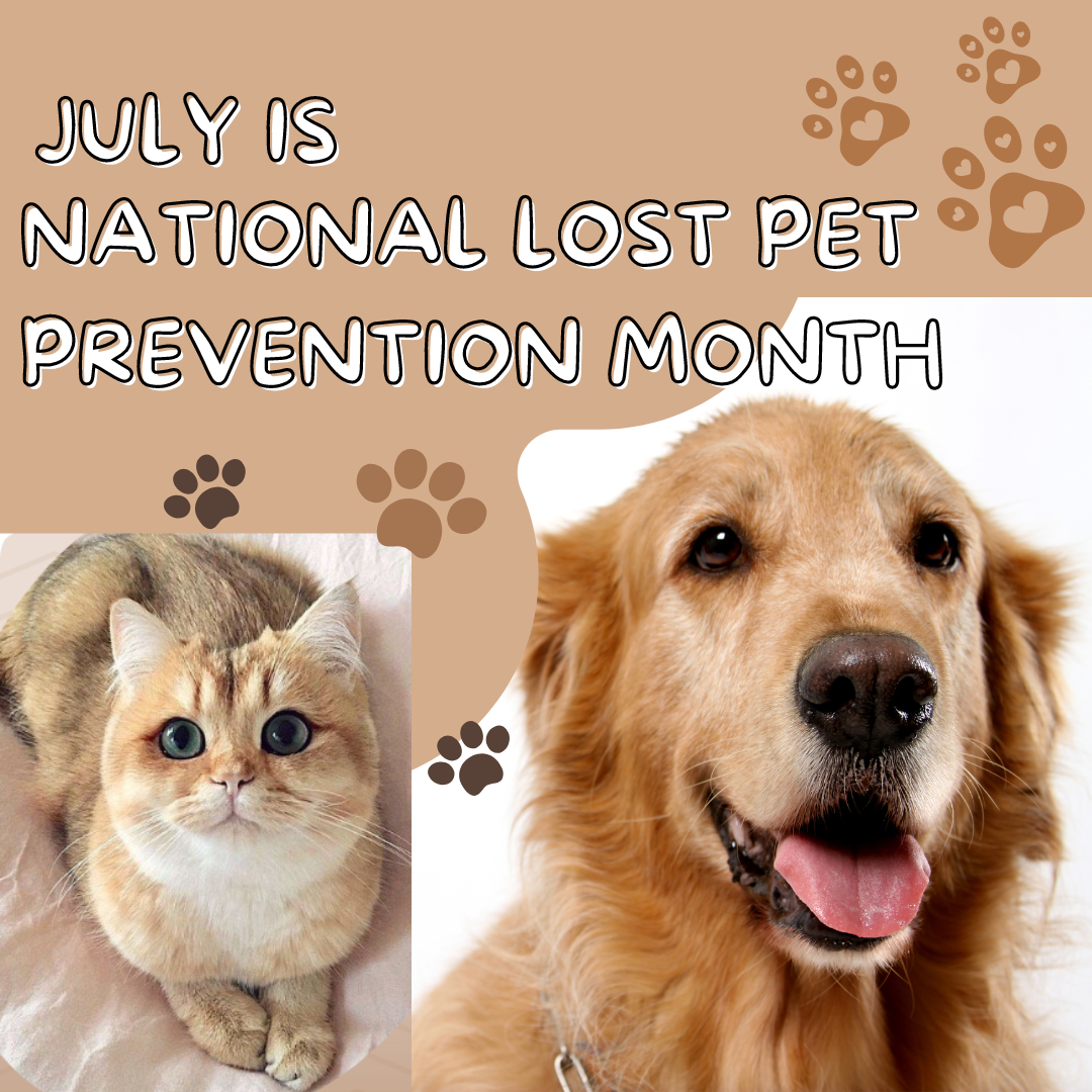 Lost Pet Prevention Month July. Don't Lose Your Pets.