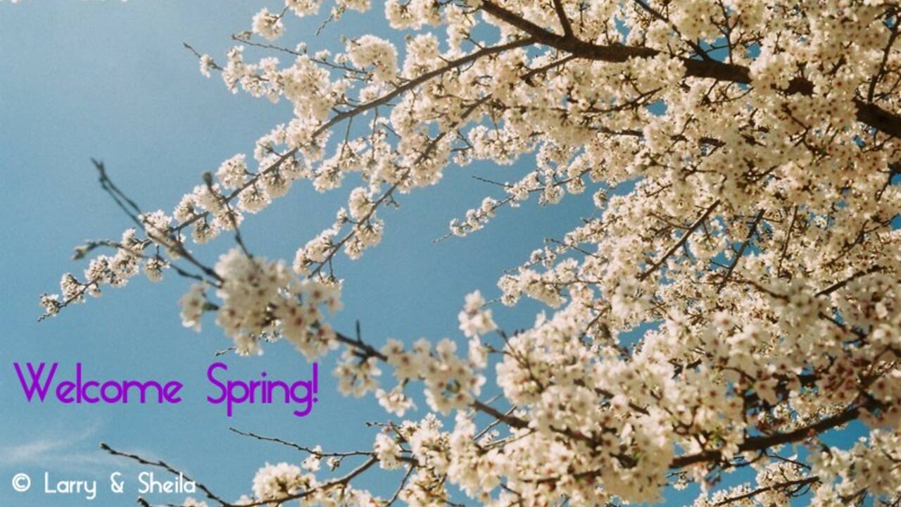 welcome_spring.jpg