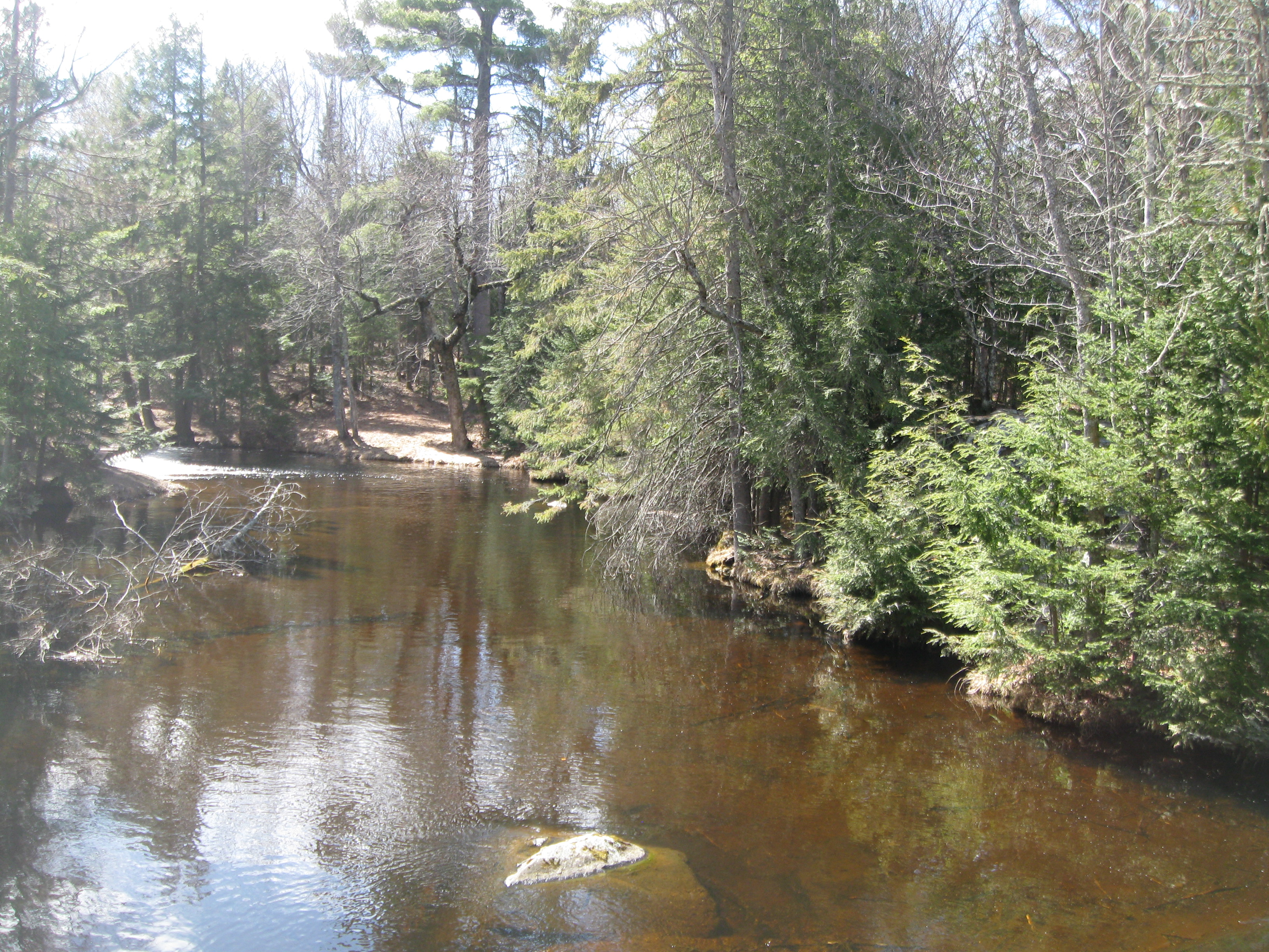 The Woodland Report Sheboygan County; Hunting, Timber