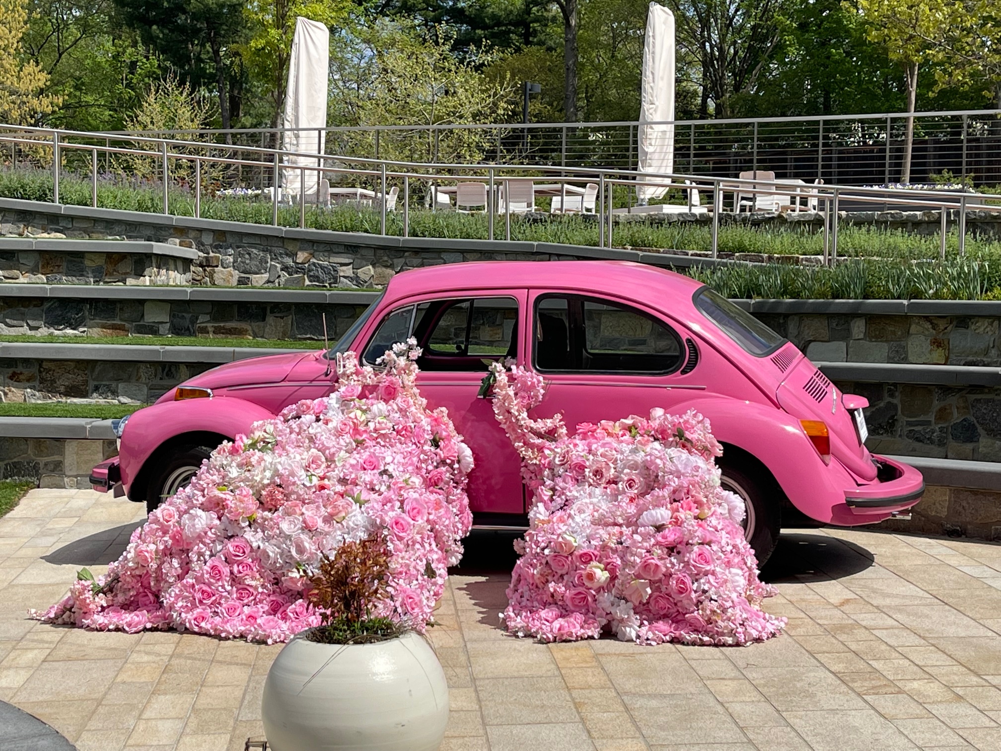 Top 5 Restaurants in Chevy Chase