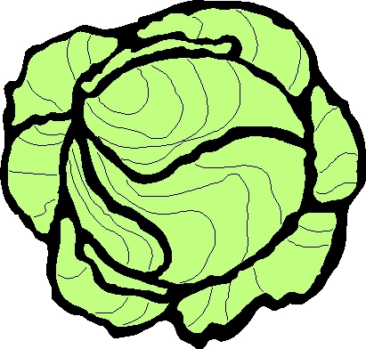 Капуста картинка для детей на голову