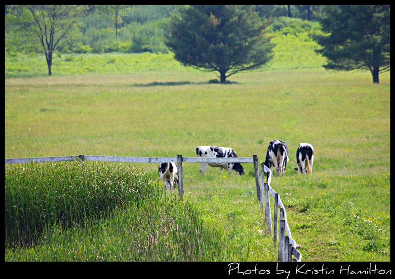 an overview of the amish life Amish: out of order april 10, 2012 amish: out of order facts life-long friends and family members are also required to shun the wayward individual. an overview of the amish life Amish: out of order april 10, 2012 amish: out of order facts life-long friends and family members are also required to shun the wayward individual.