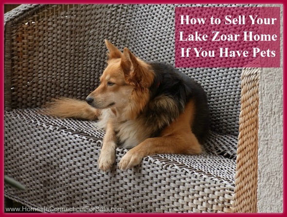 Sell your Lake Zoar real estate property with pets in a breeze by following these 5 tips.