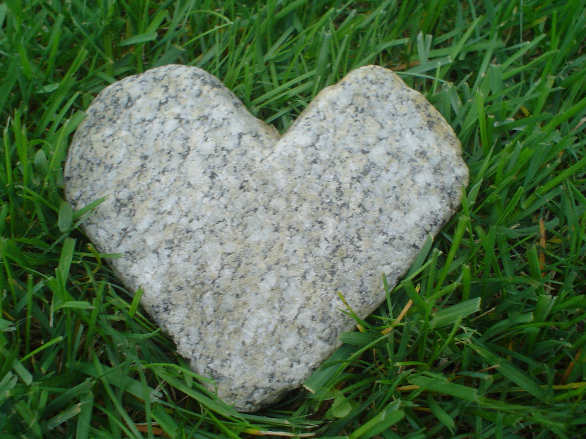 Превращаю сердце в камень. Сердце из камня. Камень в виде сердца. Булыжник в форме сердца. Камушек в виде сердечка.
