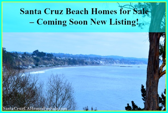 Be the first to view this cozy two bedroom house conveniently located in the Seacliff neighborhood of Aptos CA